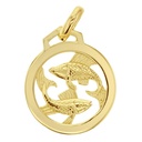 9Y ZODIAC PENDANT