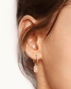 GM_EAR1210_M.webp