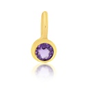 9Y MINI AMETHYST CHARM