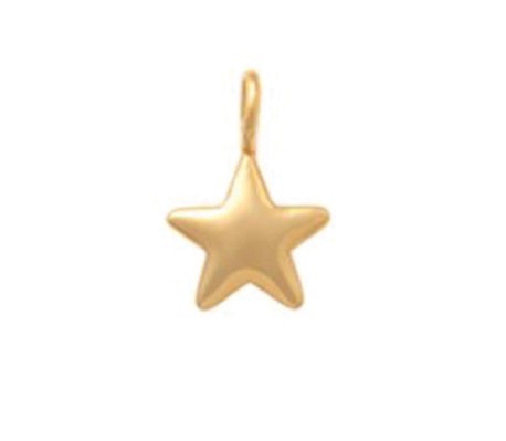 9Y MINI STAR CHARM