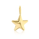 9Y MINI STAR CHARM