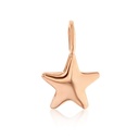 9R MINI STAR CHARM