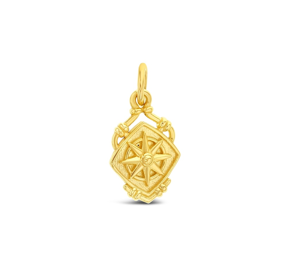 ## 9Y COMPASS PENDANT