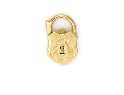 ENGRAVED SHIELD PADLOCK 17MM