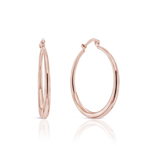 [EAR1065] 9R PLAIN GRADUATED HOOP 27MM