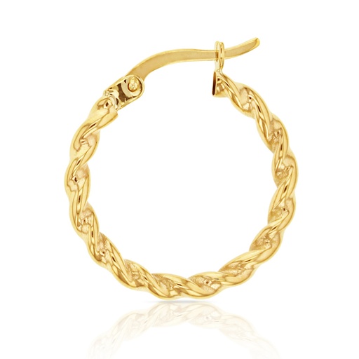 [EAR694] ## 9Y 2.5MM TWISTED HOOPS