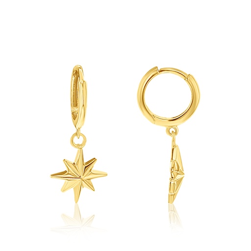 [EAR931] 9Y STAR DROP HUGGIES