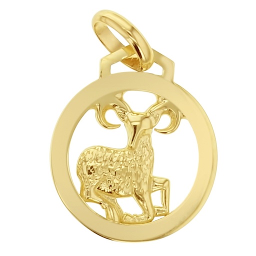 [zod-aqu] 9Y ZODIAC PENDANT